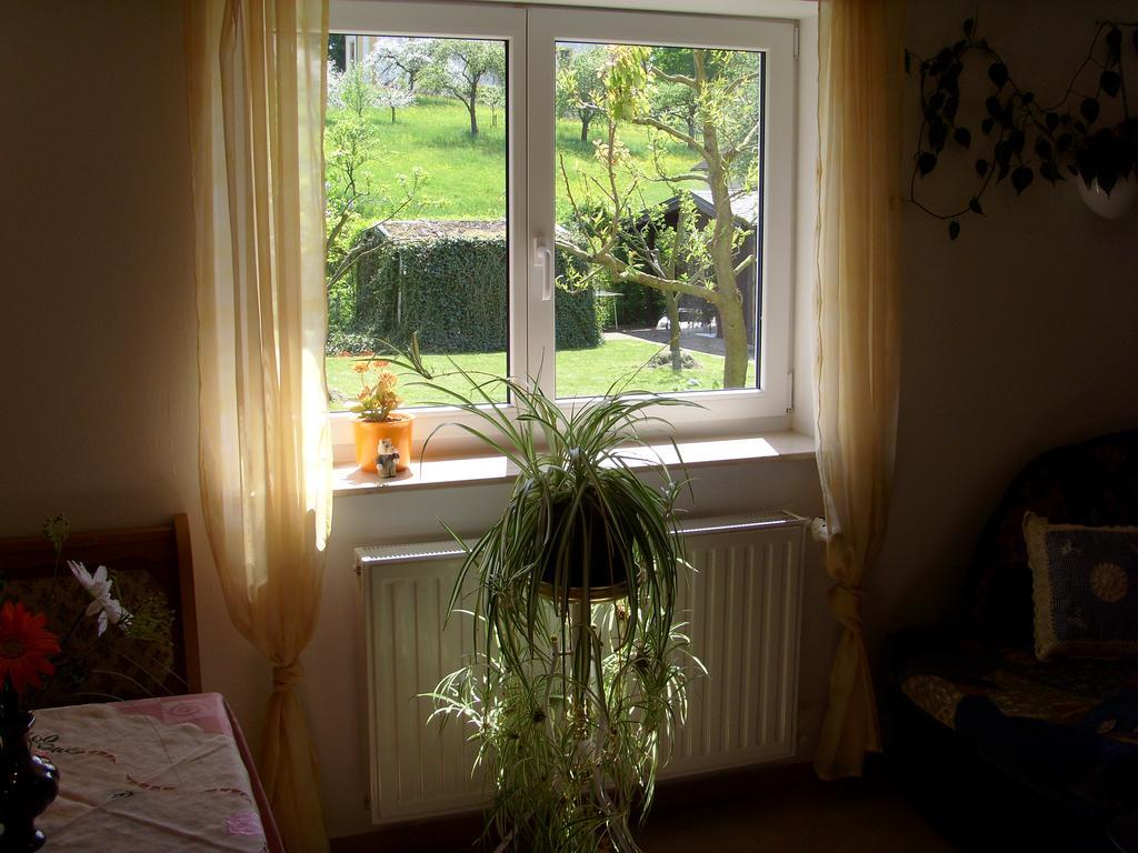 Ferienwohnung Adelheid Eggenbach Exterior foto